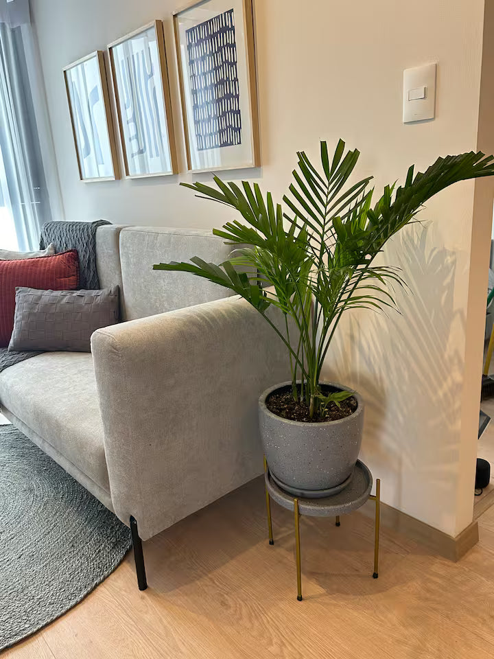 Departamento entre Miraflores y San Isidro – 2 hab.